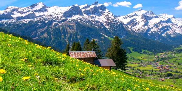 Bernese Oberland landscape